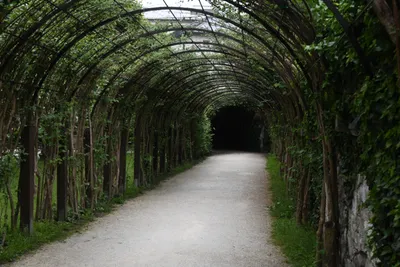 DSC_6126 (Large).JPG